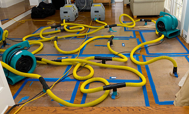 Professional Water Damage Restoration technician working in Ash Fork, AZ
